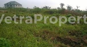  Land Measuring 3000sqm  3,000 Meter Square of Land for Sale Wuye Abuja Vetra  Property