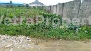  A Plot Of Land Measuring 8,142sqm  8,142 Meter Square of Land for Sale Wuye Abuja Vetra  Property
