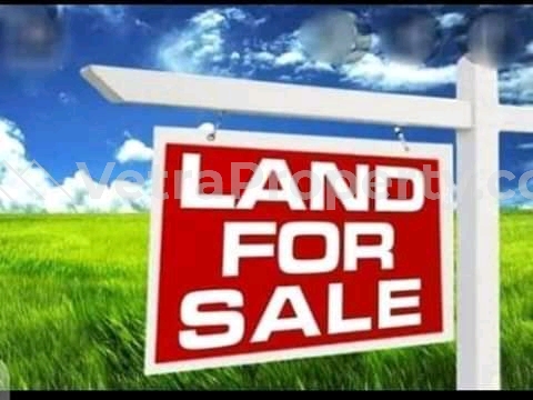  Half Plot Of Land Dry Land At Ago Palace Way Okota Lagos  Land for Sale Isolo Lagos Vetra  Property