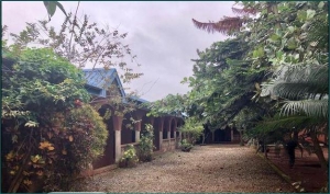 Image 1 Title