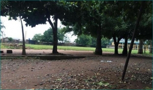 Image 1 Title