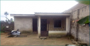 Image 1 Title