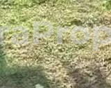  Land Measures 1360 Square Metres At Ogudu Gra  1,360 Meter Square of Land for Sale Ogudu Lagos Vetra  Property