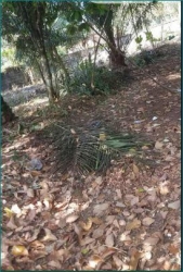 Mixed-use Land 6 Plots of Land for Sale Aba Abia Vetra  Property