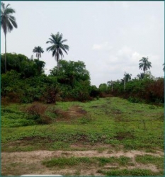 Commercial Land  3 Plots of Land for Sale Awka South Anambra Vetra  Property