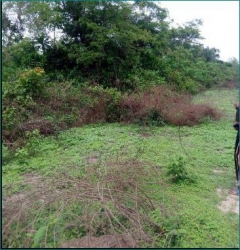 Image 1 Title
