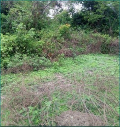 Image 1 Title