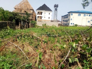 Plot Of Land Land for Sale Isolo Lagos Vetra  Property