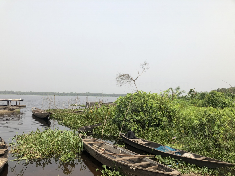 Image 1 Title