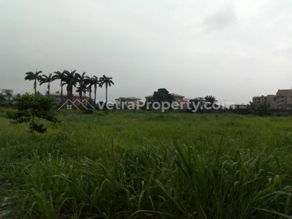  Plots Of Land  21,600 Meter Square of Land for Sale Asokoro Abuja Vetra  Property