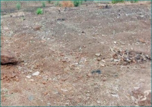 Residential Land 2 Plots of Land for Sale Ilorin Kwara Vetra  Property