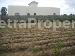  Land  500 Meter Square of Land for Sale Ikoyi Lagos Vetra  Property