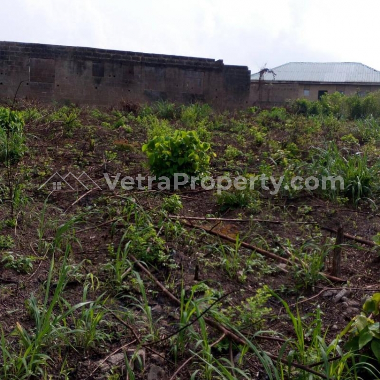  A Full Plot Of Land  550 Meter Square of Land for Sale Surulere Lagos Vetra  Property