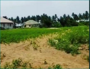 Mixed-use Land 600 Meter Square of Land for Sale Ibeju Lekki Lagos Vetra  Property