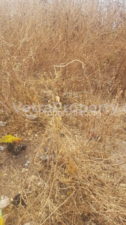  1200sqm Commercial Purpose C Of O  1,200 Meter Square of Land for Sale Wuye Abuja Vetra  Property