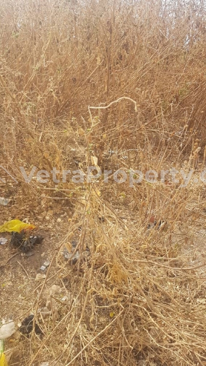  2.36 Hectares Of Multifunction In Zuba With Gwagwalada Area Council C Of O  2 Hectare of Land for Sale Gwagwalada Abuja Vetra  Property