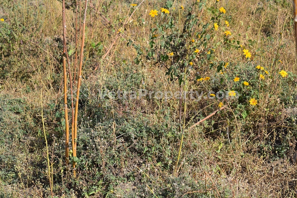  20 Hectares Of Mass Housing At Jiwa With R Of O  Land for Sale Dei-Dei Abuja Vetra  Property