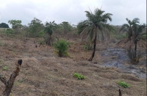 24 Plots Of Industrial Land 24 Plots of Land for Sale Awka North Anambra Vetra  Property