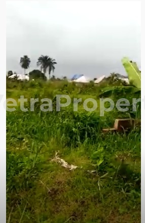  4950sqm Land In Uyo  5 Plots of Land for Sale Mkpat-Enin Akwa Ibom Vetra  Property