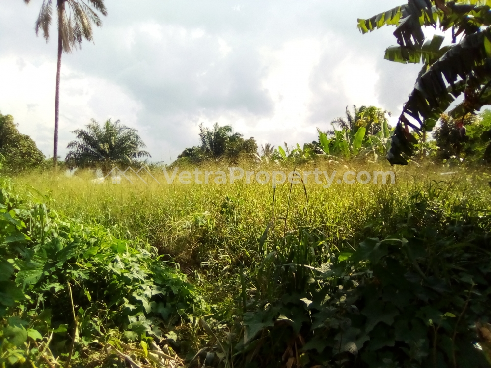  2000sqm Land Near Champion Breweries Nung Oku  2,000 Meter Square of Land for Sale Uyo Akwa Ibom Vetra  Property