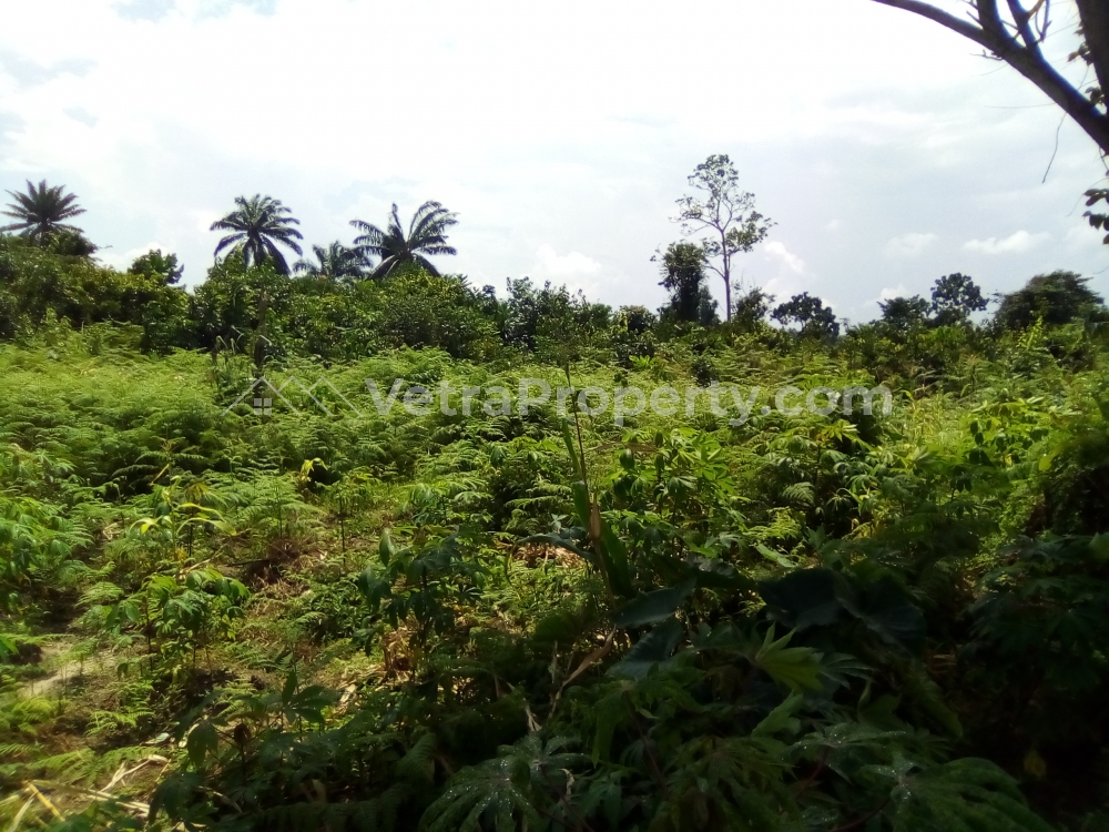  Distress Sale – Land At Ekpri Nsukkara  500 Meter Square of Land for Sale Uyo Akwa Ibom Vetra  Property