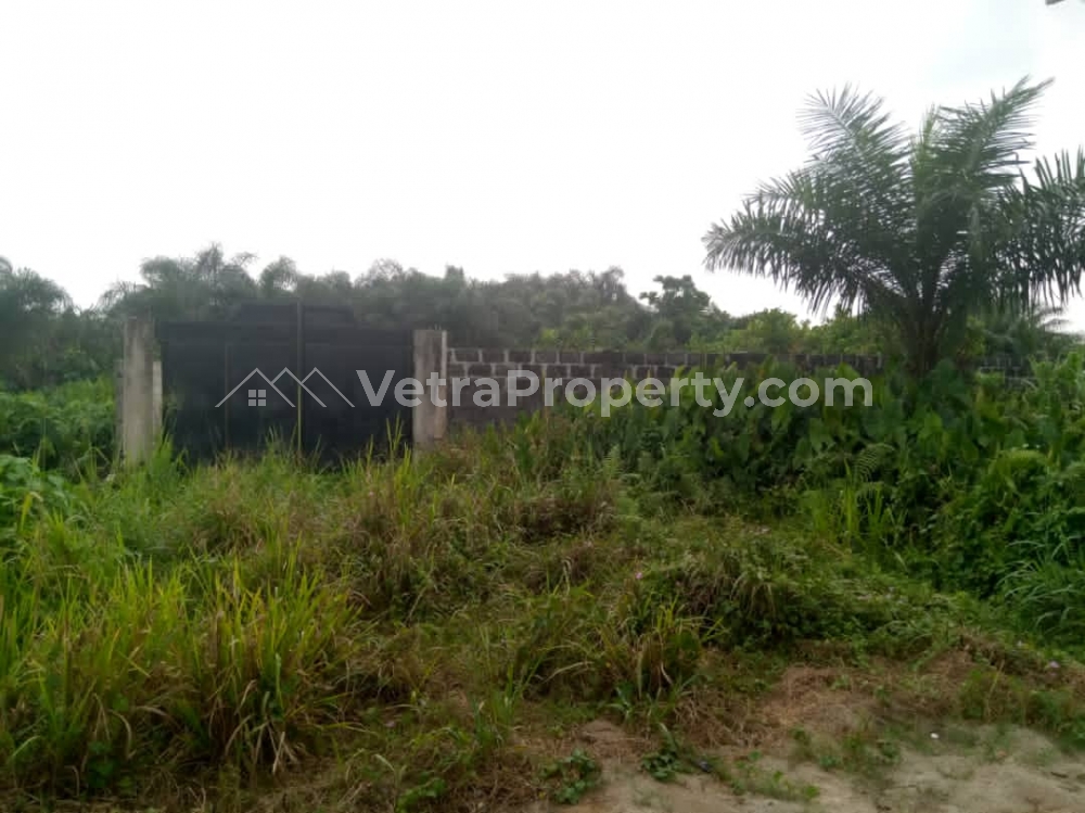  5 Plots Of Land Facing Express Measuring 3221square Metre  3,221 Meter Square of Land for Rent Ibeju Lekki Lagos Vetra  Property