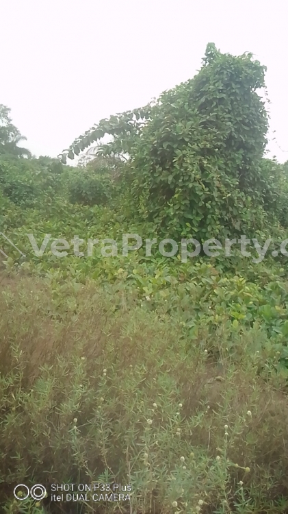  5 Plot Of Land Measuring 2679 Square Meter  2,769 Meter Square of Land for Sale Ajah Lagos Vetra  Property