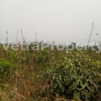  500 Acres Of Land In An Industrial Area Phase  Land for Sale Sagamu Ogun Vetra  Property