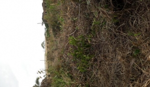 Residential Land With Foundation Land for Sale Oredo Edo Vetra  Property
