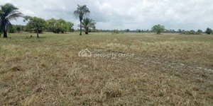 Plot Of Land 1 Plot of Land for Sale Ajah Lagos Vetra  Property