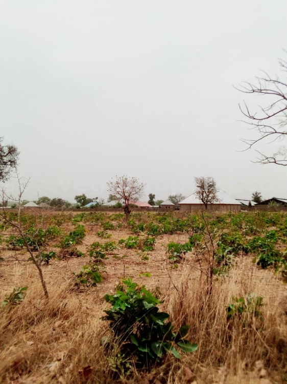  10 Plots Of Land Bordering Phase 5 (price Per Plot)  10 Plots of Land for Sale Chikun Kaduna Vetra  Property