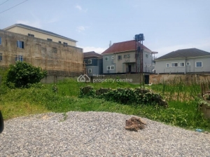 Half Plot Of Land  1 Plot of Land for Sale Isolo Lagos Vetra  Property