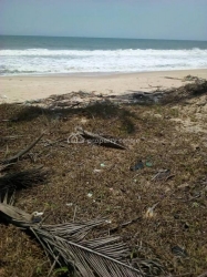 Plots Of Land Land for Sale Ibeju Lekki Lagos Vetra  Property