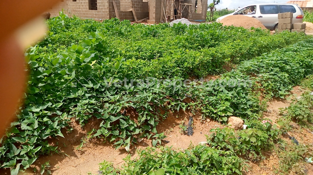  Well Situated Four Plots Of Land  Land for Sale Chikun Kaduna Vetra  Property