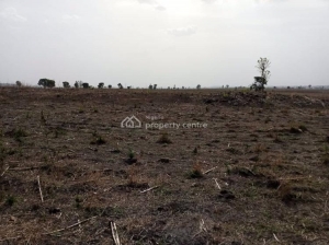 Mixed-use Land 42 Hectare of Land for Sale Gwagwalada Abuja Vetra  Property