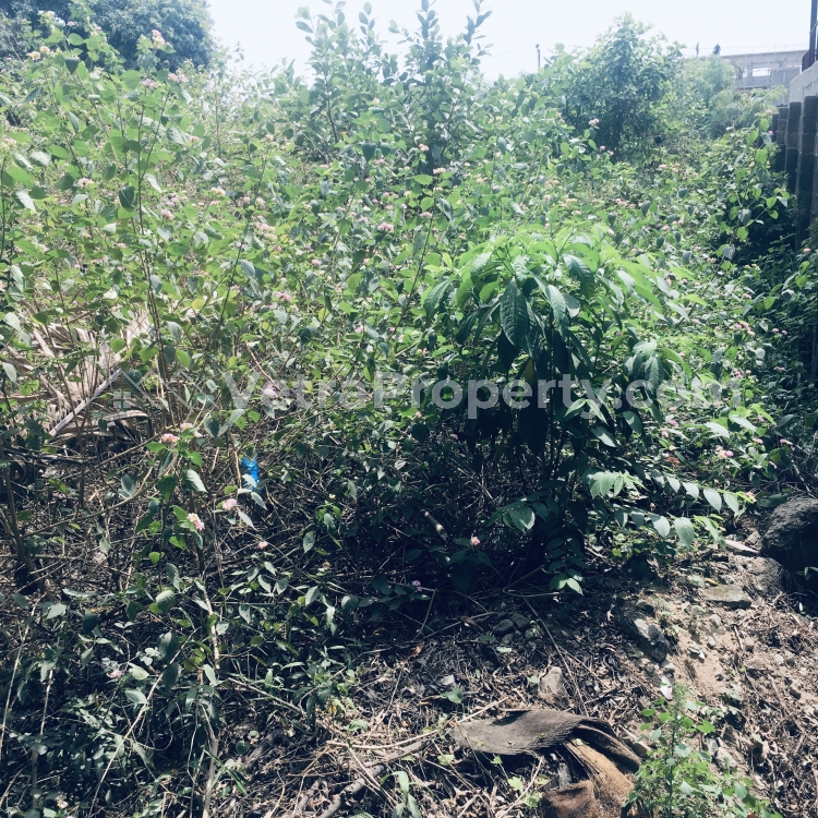  Full Plot Of Land At Abule Egba Near Social Club Road And Lasu  Land for Sale Egbe Lagos Vetra  Property