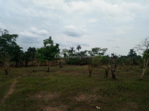 Mixed-use Land 12 Plots of Land for Sale Enugu Enugu Vetra  Property