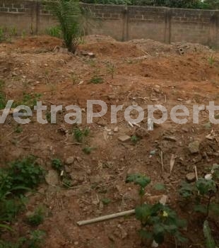  Half Plot Virgin Land  Land for Sale Agege Lagos Vetra  Property
