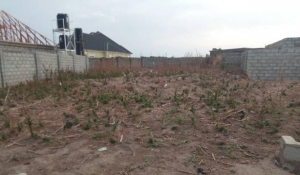 Land 1,000 Meter Square of Land for Sale Gwagwalada Abuja Vetra  Property