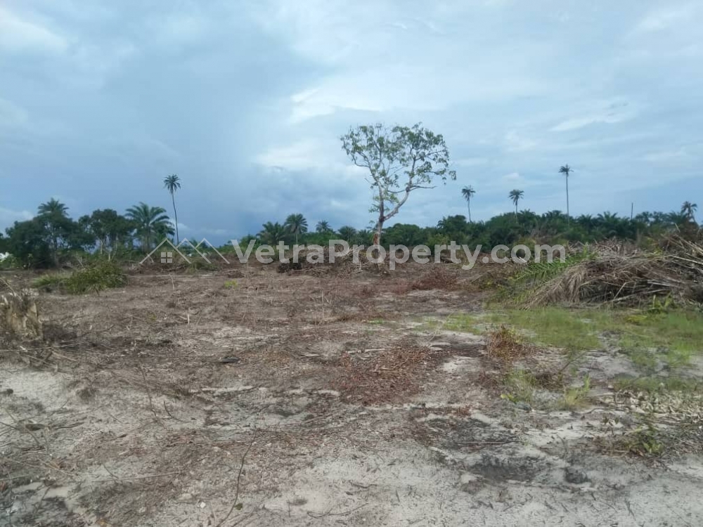  Land Facing Express For Sale At Ibeju Lekki  Land for Sale Ibeju Lagos Vetra  Property