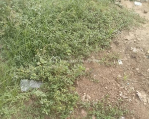 Mixed-use Land 1 Hectare of Land for Sale Obafemi Owode Ogun Vetra  Property