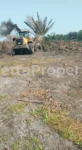  25 Acres Of Land With Governor Conscent For Sale On Dangote Refinary Before Lekki Free Trade Zone  Land for Sale Ibeju Lekki Lagos Vetra  Property