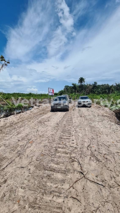  Gazette Residencial Land For Sale At Ibeju Lekki  Land for Sale Ibeju Lekki Lagos Vetra  Property