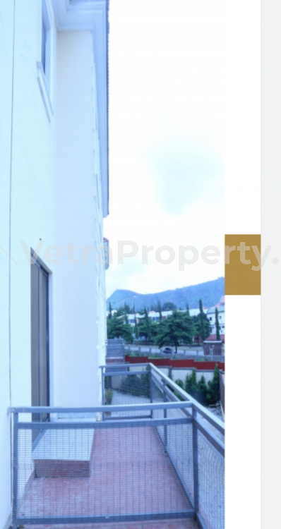 Image 1 Title
