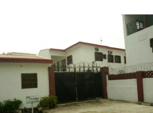 7 Bedroom Duplex Detached Duplex for Sale Asokoro Abuja Vetra  Property