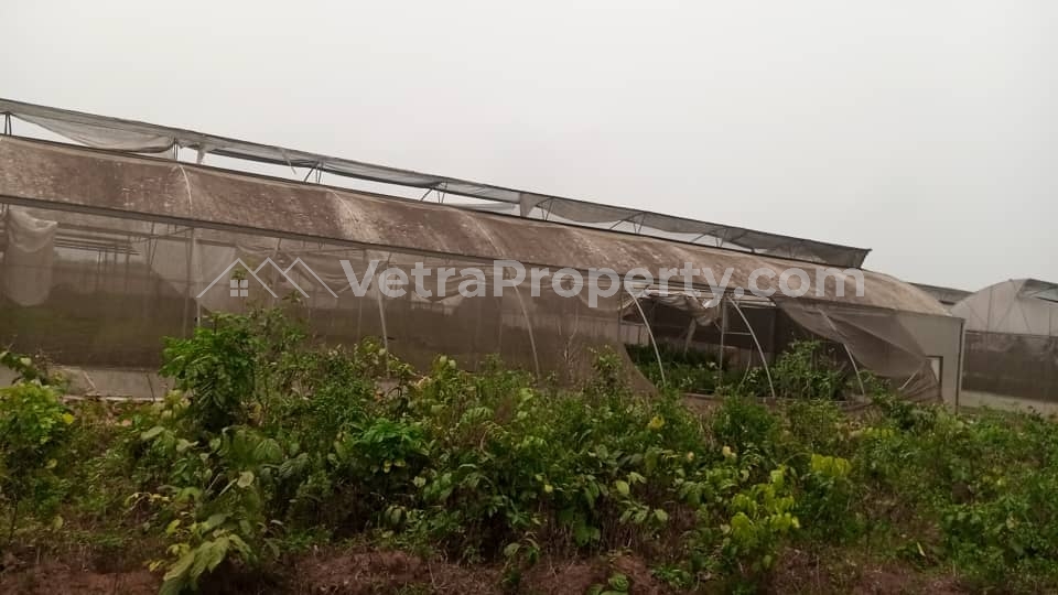  Land In Highbridge Farmcity Epe  600 Meter Square of Land for Sale Epe Lagos Vetra  Property