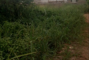 Image 1 Title