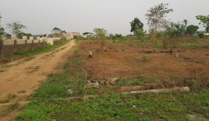 20 Plots Of Land With C Of O 20 Plots of Land for Sale Port Harcourt Rivers Vetra  Property