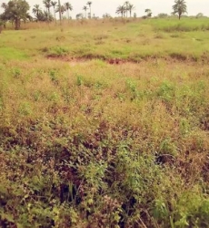 Virgin 2 Plots Of Land 2 Plots of Land for Sale Nkanu Enugu Vetra  Property