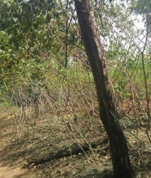 Mixed Use Land Land for Sale Oredo Edo Vetra  Property